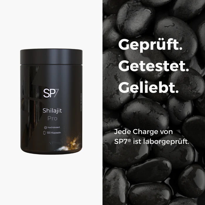 Shilajit Pro — სურათი 6